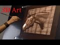 Drawing a horse / 3D Trick Art