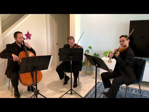 Sunset Strings' string trio performs Can't Help Falling In Love With You