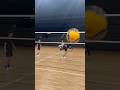 同級生コンビいいんじゃないの〜 #ウルフドッグス名古屋 #volleyball