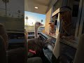 Funny Ostrich Rides Shotgun and Double-Pecks the Drive-Thru Guy 😂 #shorts