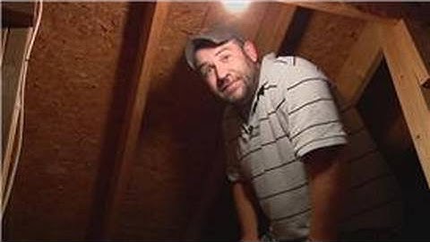 Pest Control : How to Get Rid of Wasps in the Attic