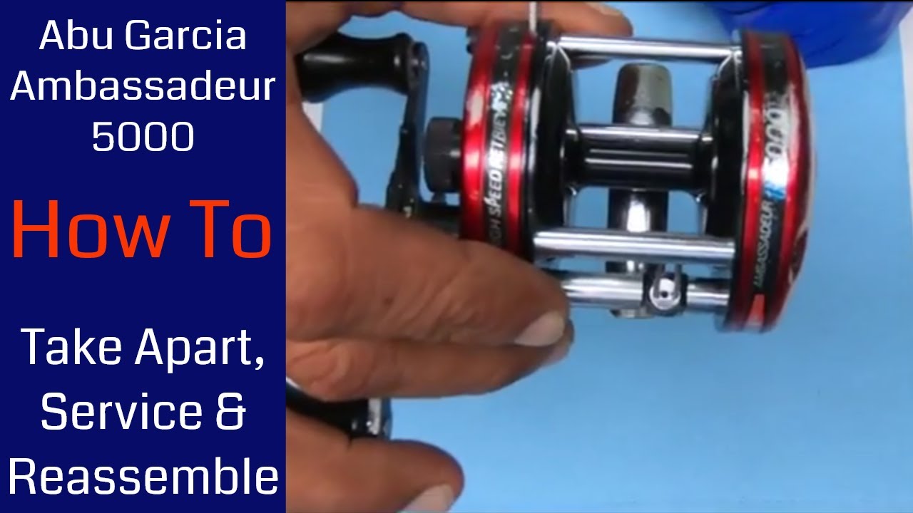 Abu Garcia Ambassadeur 5000 Fishing Reel - How to take apart, service and  reassemble 