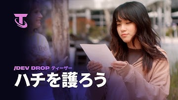 ハチを護ろう | Dev Dropプレビュー - チームファイト タクティクス