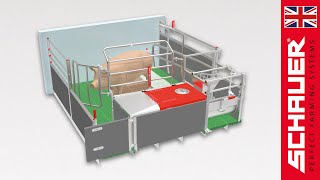 Information Product video BeFree 3.0 FT 30 farrowing pen Update