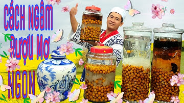 Cách Ngâm Rượu Mơ Hà Nội Ngon Tuyệt Vời , đào thiện minh. 姚善明全家福到会服务