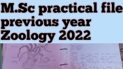M.Sc Zoology practical file previous year ||  2022  M.Sc फाइल कैसे बनाए