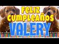 ¡Feliz Cumpleaños Valery! (Perros hablando gracioso) ¡Muchas Felicidades Valery!