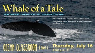 Whale of a Tale - GSO Ocean Classroom Live! Episode 6