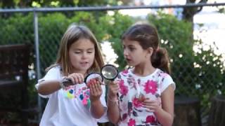 Authentic Learning  - Mamaroneck Schools