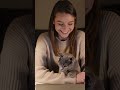 The Moment This Cat Walks Over, Happiness Begins