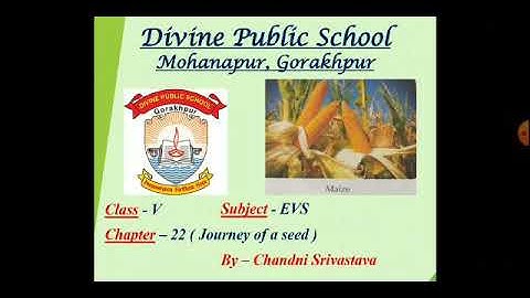 Class-V, EVS,Ch -22 (Journey of a seed) By-Chandni Srivastava
