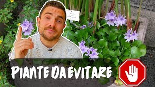 LE 10 PIANTE PROIBITE E INVASIVE NEI GIARDINI