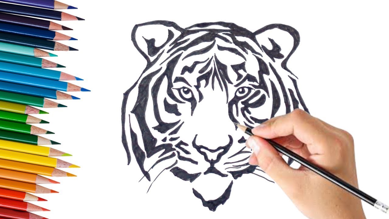 Premium Vector  Tiger face sketch hand drawn in doodle style vector  illustration