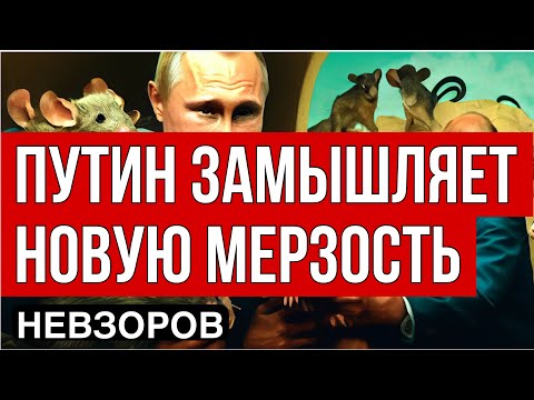 Видео: Окно в Европу. В РФ начинают изымать загранпаспорта.Что общего у Путина и Петра. Зеленский сказал.