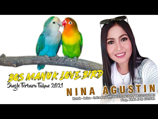 SINGLE TERBARU 2021 NINA AGUSTIN | BOS MANUK LOVE BIRD class=