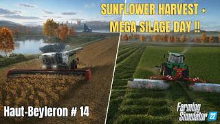 Sunflower Harvest & Massive Silage Baling! | FS22 Haut-Beyleron Start From Scratch Ep.14