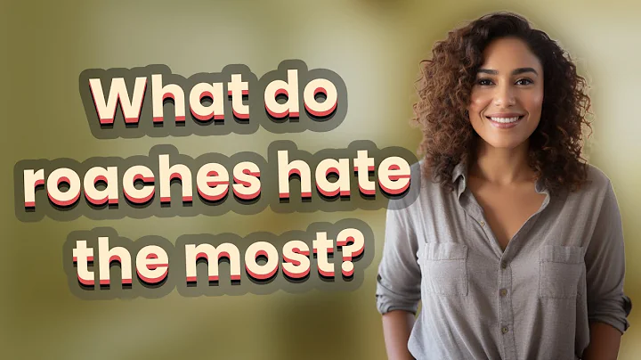 What do roaches hate the most?