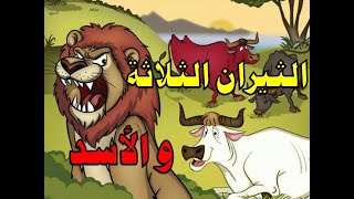 قصة الاسد و الثيران الثلاثة من حواديت زمان قبل النوم