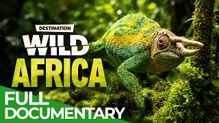 Destination Wild: Rwanda - Heart of Africa | Free Documentary Nature