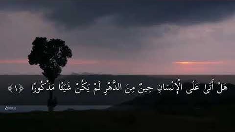 سورة الإنسان كاملة بصوت القارئ اليمني يوسف الأغبري🌹🌹