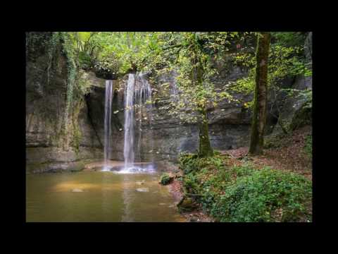 🍃Woda i Ptaki w Lesie #1 - Odgłosy Natury Muzyka Relaksacyjna Tło Muzyczne🎧👍