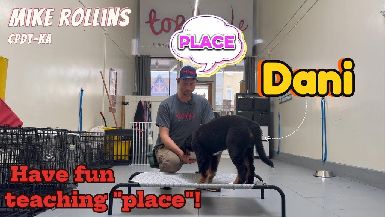 Place Training 101: Teach the Place Cue