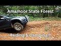 The Grand Vitara Couldn't Complete This Track!!! Amamoor State Forest!