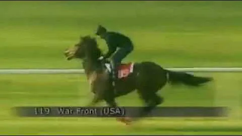 اسرع خيل في العالم