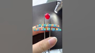 Đá Ruby Cực Phẩm Được Chốt Đơn Ngay – Giá Mềm Khiến Người Xem Trầm Trồ! #daquy #phuongdaquy #ruby