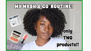 My Wash N Go Routine 2019 Natural Hair Quick & Easy