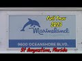 Marineland Dolphin Adventure Full Tour - St Augustine, Florida