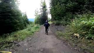 Waynes gully and Mike hitting the alt rock lines