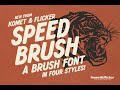 Speed Brush Font Download