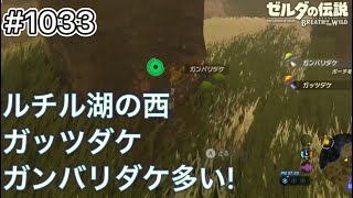 【1033】ルチル湖の西 ガッツダケ、ガンバリダケ多い！[ゼルダの伝説 ブレス オブ ザ ワイルド]