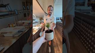 Handing Harry Kane Items He Didnt Ask For