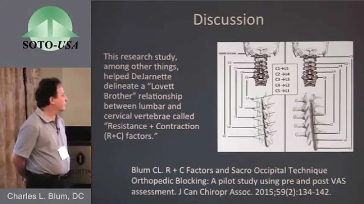 SOTO Research Conf 2015 - 5th Lumbar Vertebra by C...