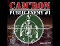 Cam'ron - Can't Hurt My Style - Public Enemy #1