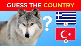 Guess the Country: National Animals From Different Countries🦁🦓🐼#guessthecountry