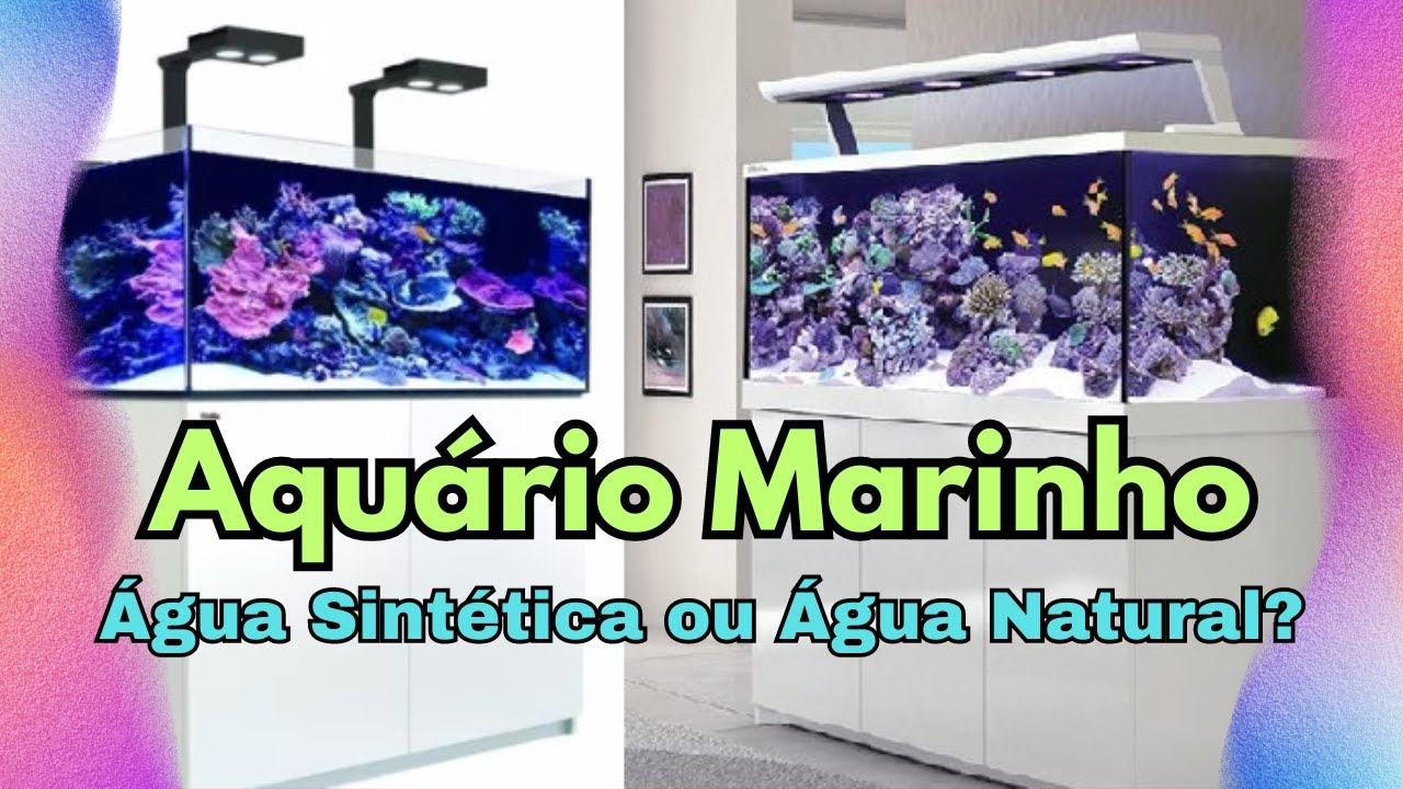 AQUÁRIO MARINHO com ÁGUA SINTÉTICA ou NATURAL
