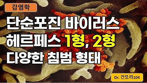 단순포진 헤르페스 바이러스 1형, 2형(Herpes simplex virus type 1, 2) 구강/생식기 병변 및 눈, CNS, 수직감염 등