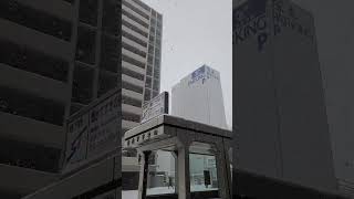 #훗카이도 #삿포로 #스스키노 #SotetsuFresaInn Sapporo-Susukino #相鉄フレッサイン札幌すすきの | 양양비