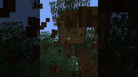 speedrunning a random 1.17 item part 4 #shorts