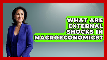 What Are External Shocks In Macroeconomics? - Macroecon Experts