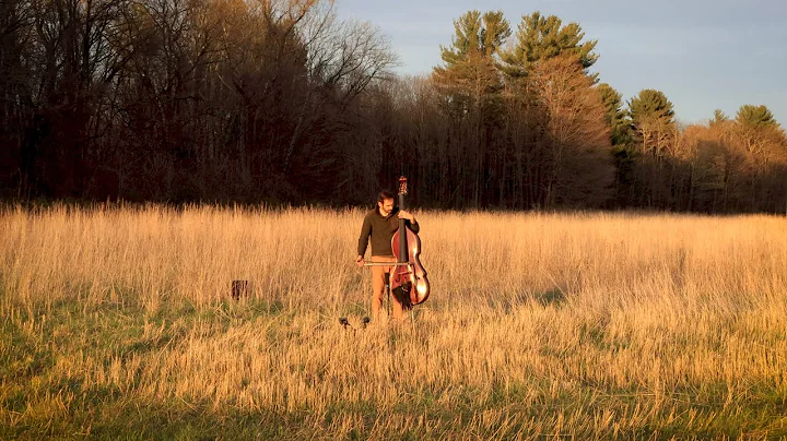 Garth Stevenson - Music Meditation - Field