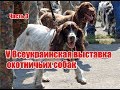 V Всеукраинская выставка охотничьих собак | Часть 3