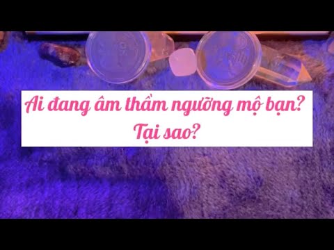 Video: Tại Sao Bạn Không Thể đến Nghĩa Trang Vào Thứ Tư