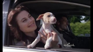 Adoption Ever After Music Video - Hallmark Channel by Kitten Bowl 270 views 6 years ago 1 minute, 53 seconds