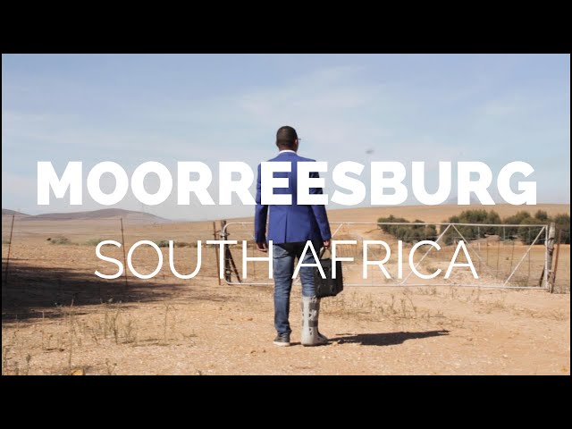 Moorreesburg, Western Cape