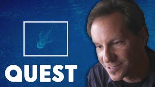 Did a british user of apple maps ...