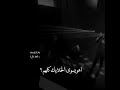 بدر الشعيبي وبشار الشطي محسومة